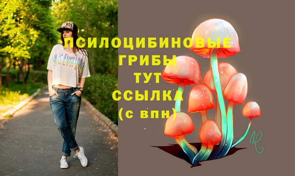 а пвп мука Белокуриха