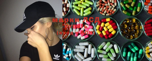 PSILOCYBIN Сосновка
